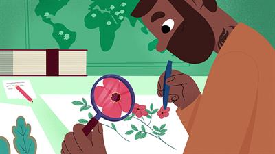 What is an Herbarium and How Does it Help Us Protect Biodiversity?